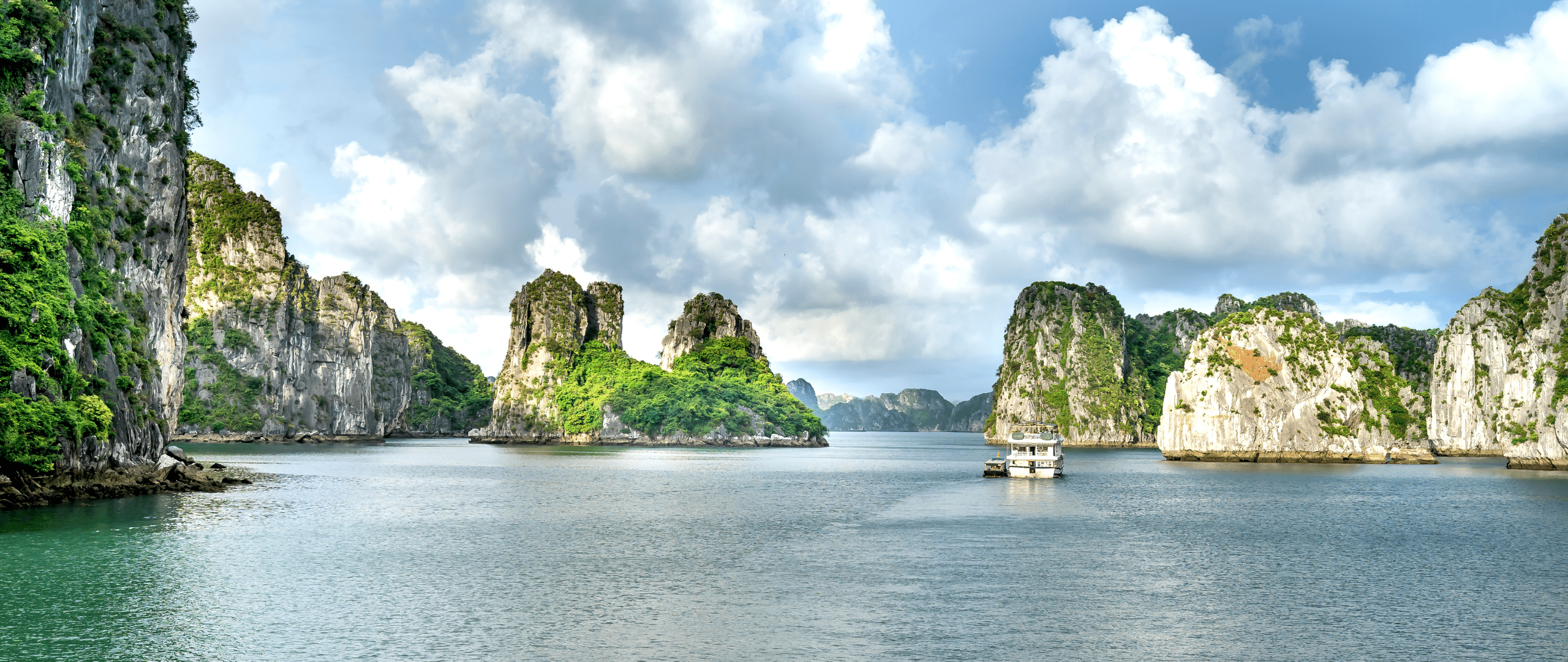 VIVUCAR ứng dụng thuê xe